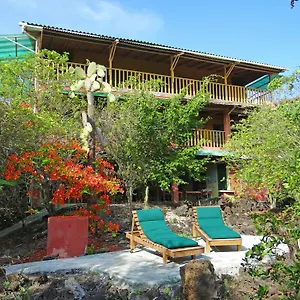 Bed & Breakfast Galapagos Puerto Ayora (Galapagos Islands)